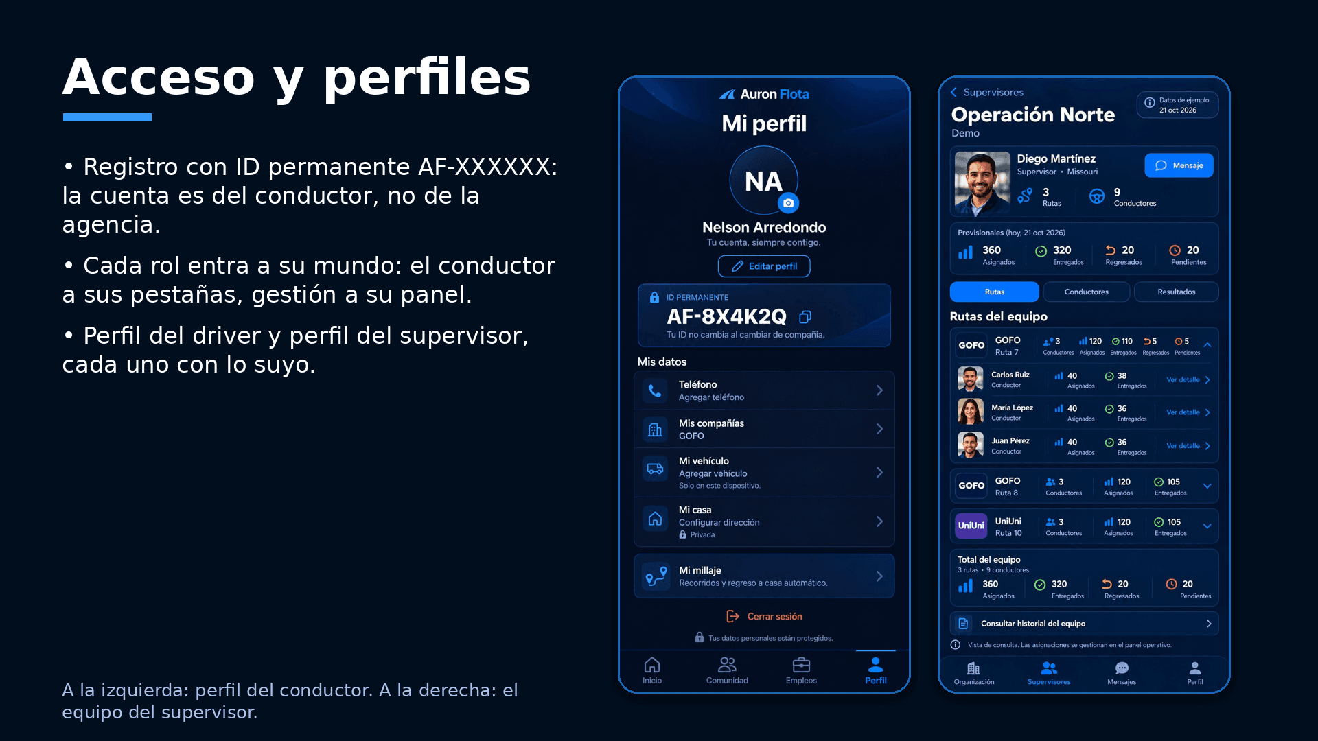 Pantalla de Acceso y perfiles