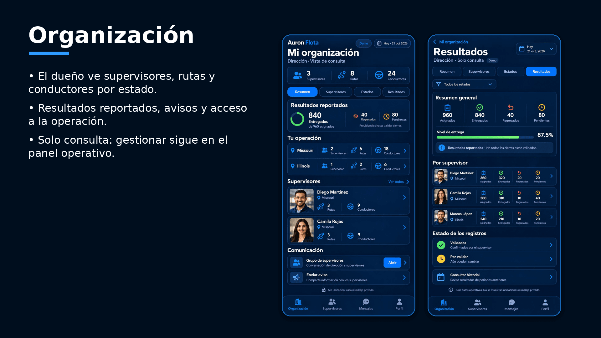 Pantalla de Organización