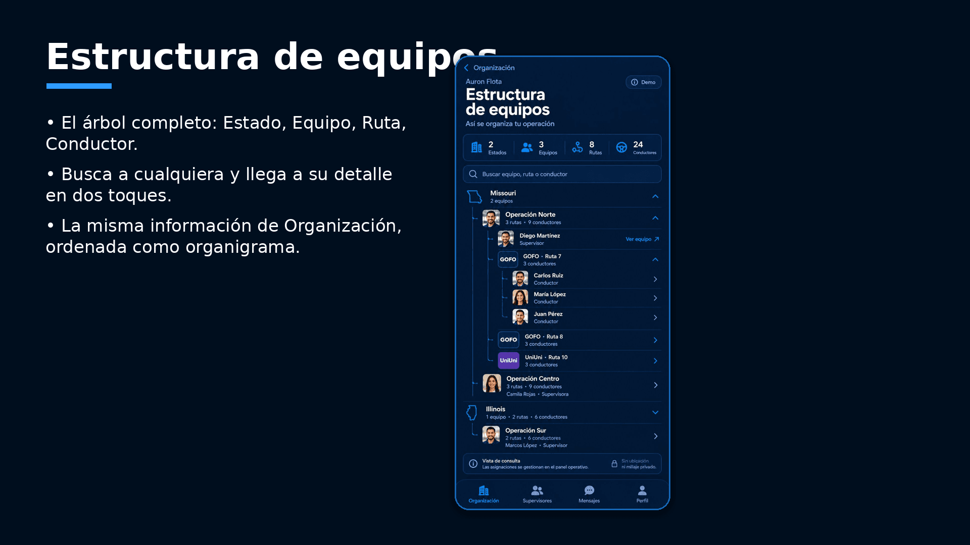 Pantalla de Estructura